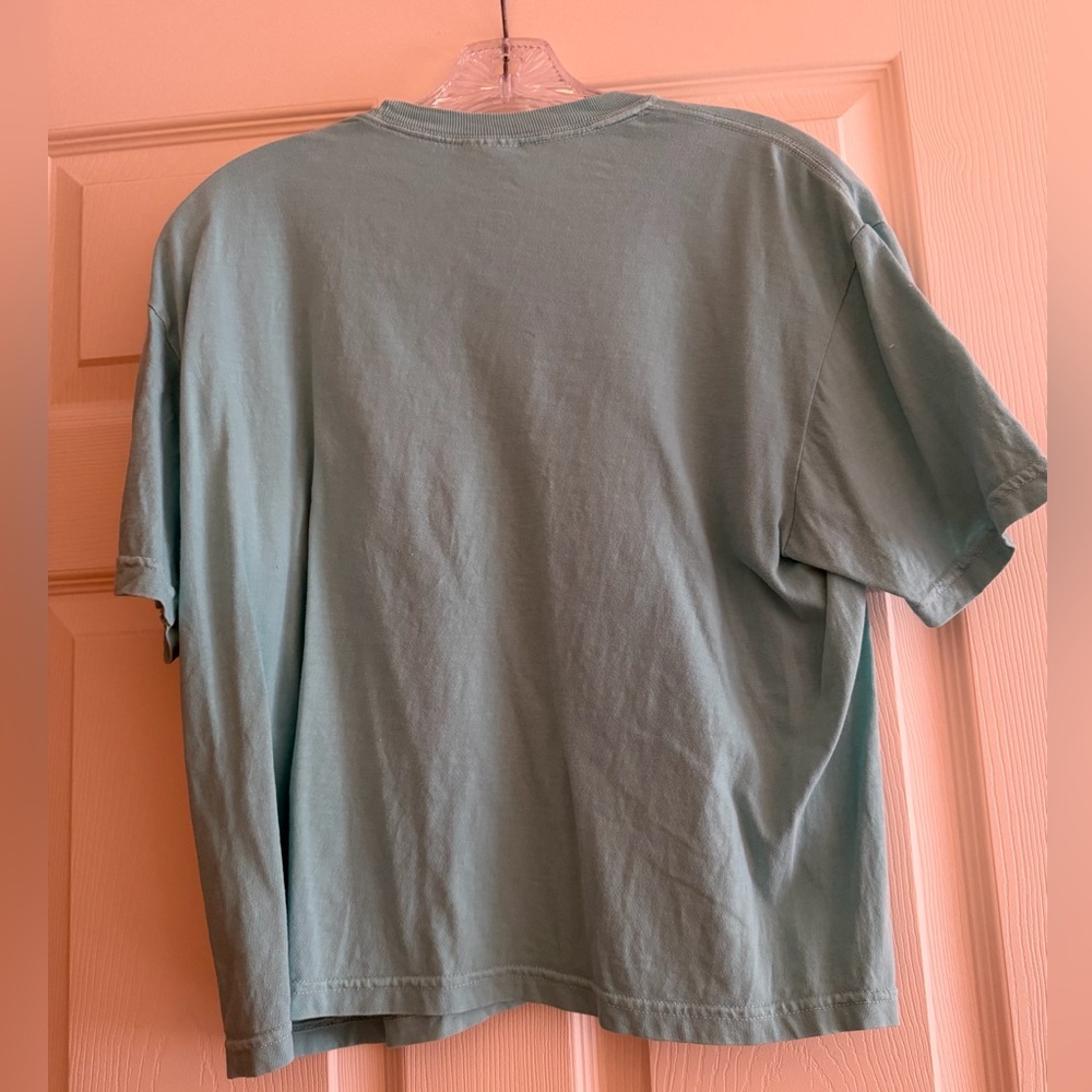 Foolery Co Taylor Swift Marvelous Time Cabana Crop Top
Chalky Mint (L) - Picture 4 of 4